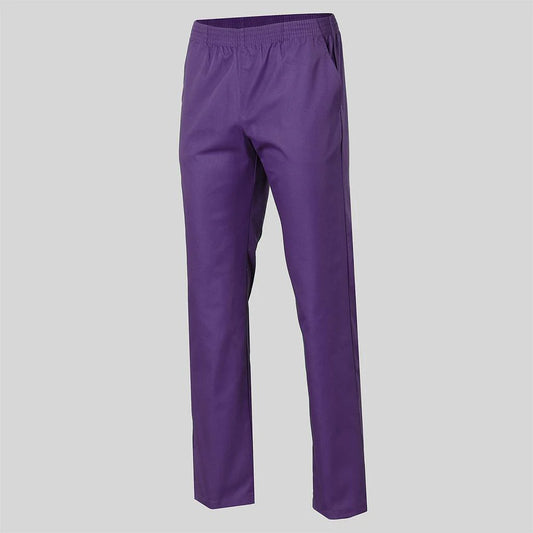 7733G0-136 - PANTALON SARGA NUEVOS COLORES BOL. GOMA ENTERA MORADO